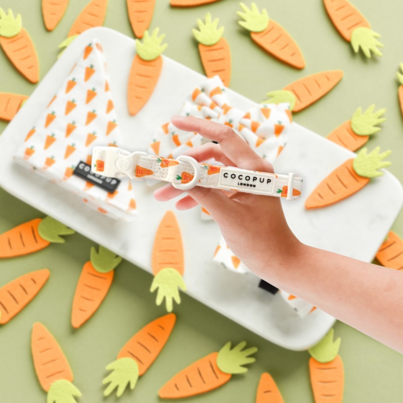 Easter Carrot COLLAR