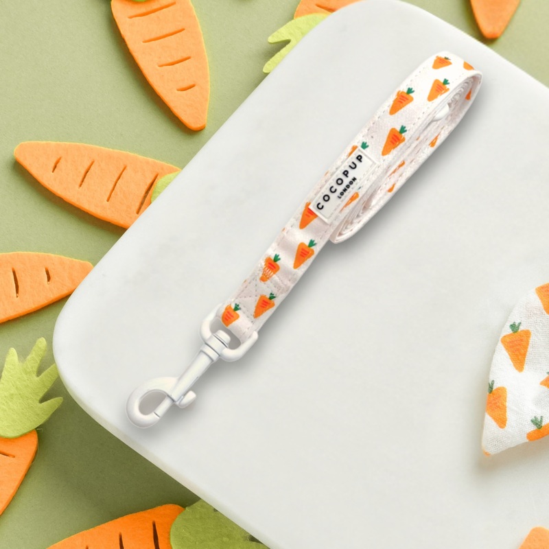 Easter Carrot Lead