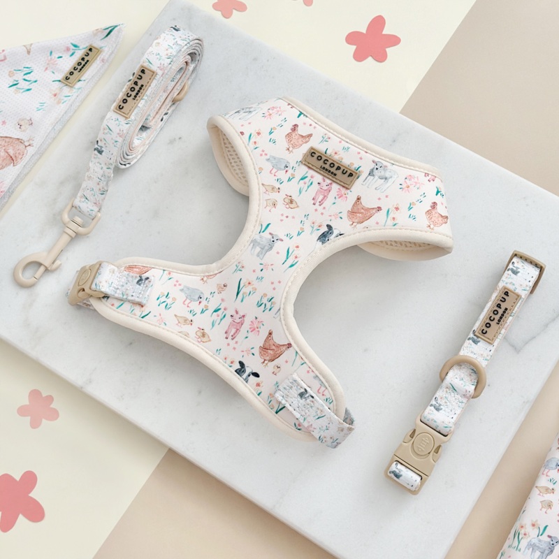 Farmyard Friends Adjustable Neck Harness, Lead & Collar Bundle