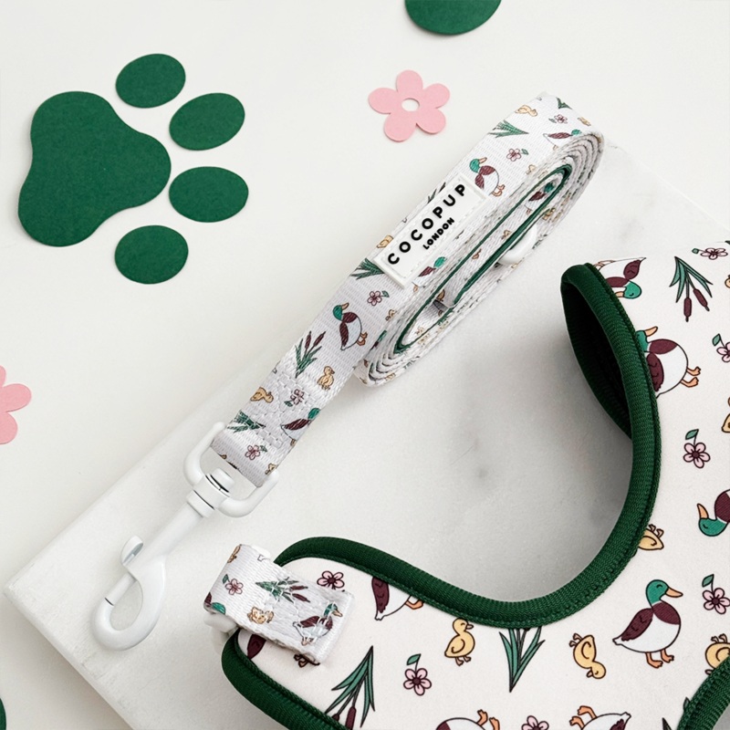 Puddle Pup Lead