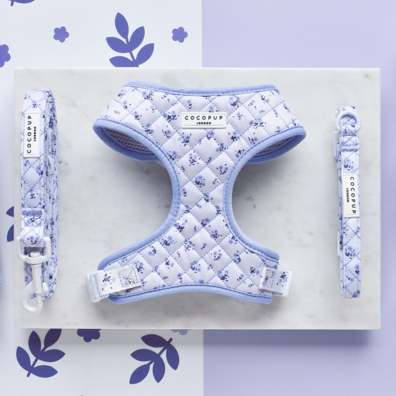 Quilted Ditsy Floral Periwinkle Adjustable Neck Harness, Lead & Collar Bundle