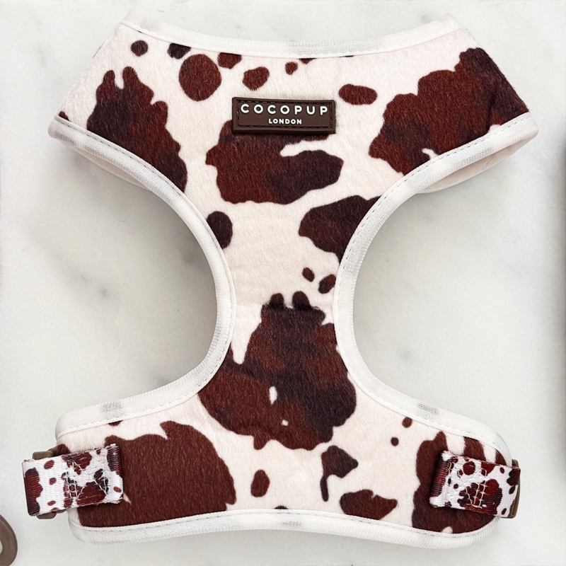 Rodeo Pup Adjustable Neck HARNESS