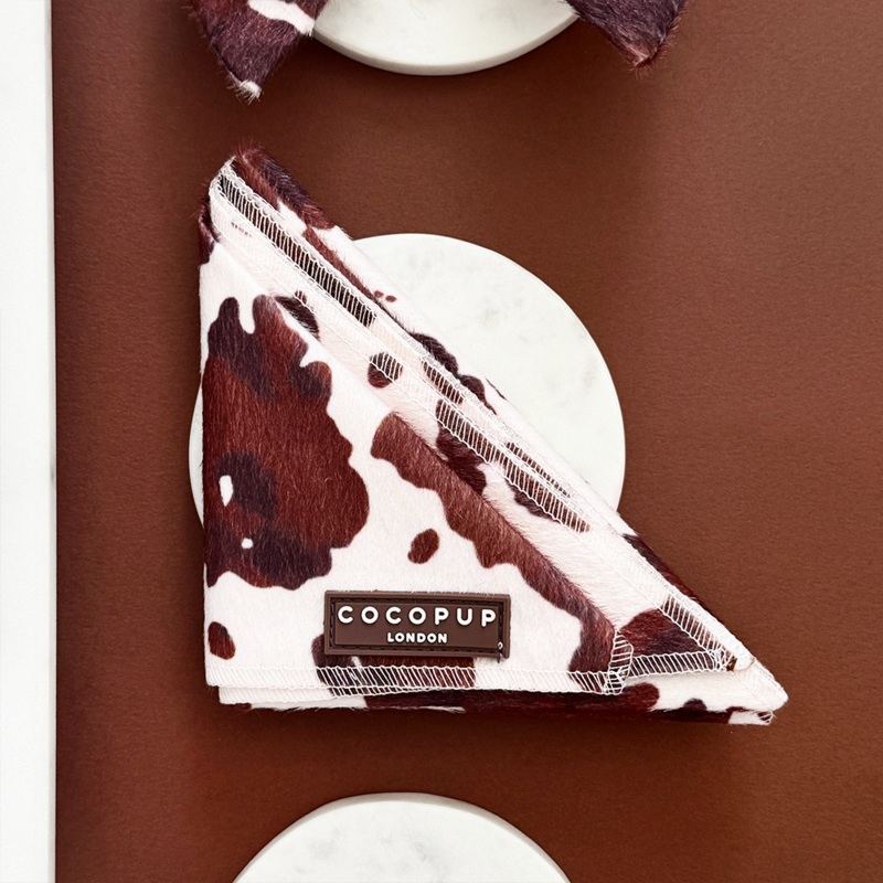 Rodeo Pup Bandana