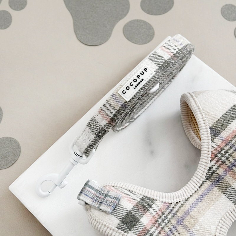 Spring Plaid Lead