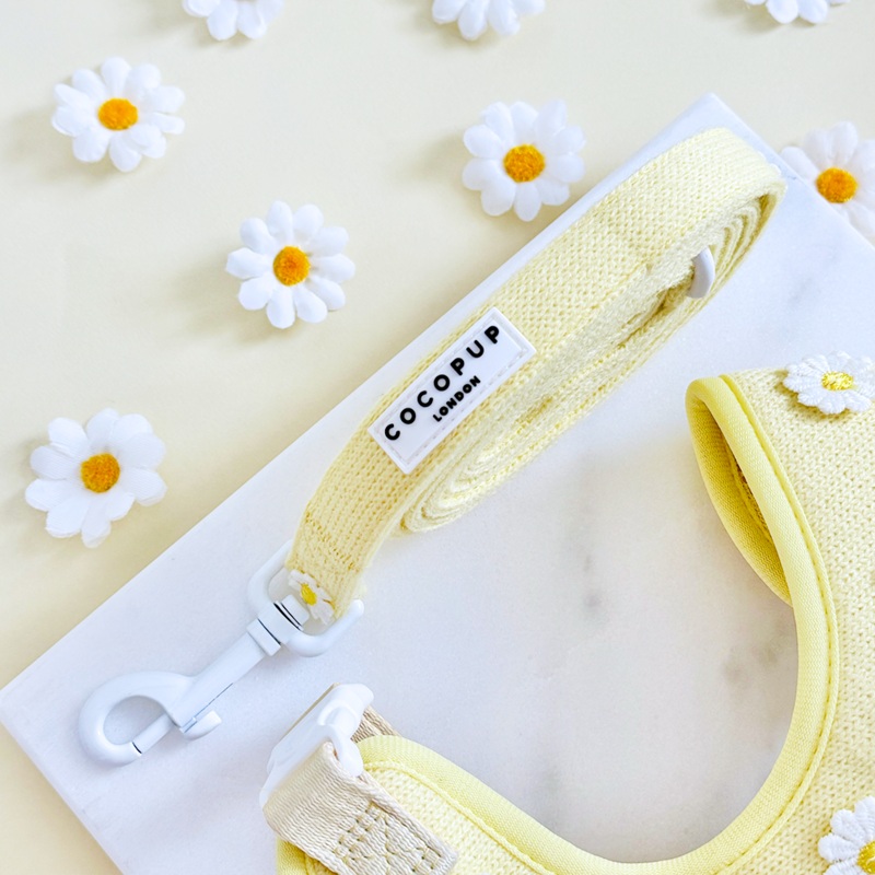 Buttercup Pup Lead