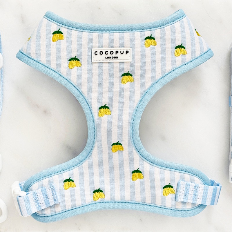 Living La Vida Lemon Adjustable Neck HARNESS
