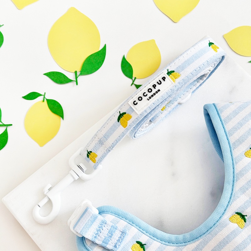 Living La Vida Lemon Lead