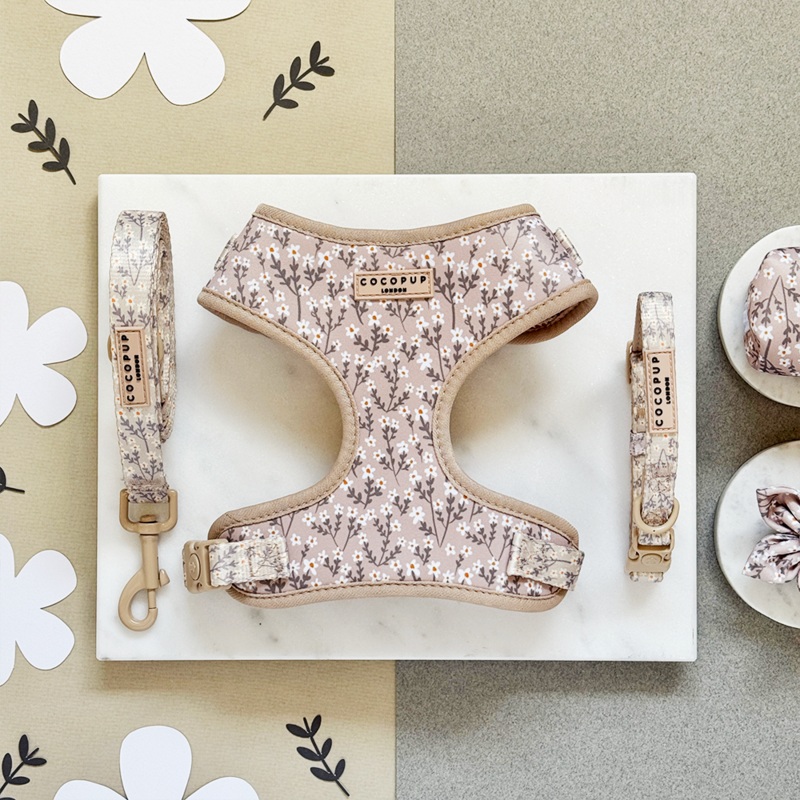 Nude Flowers Adjustable Neck Harness, Lead & Collar Bundle