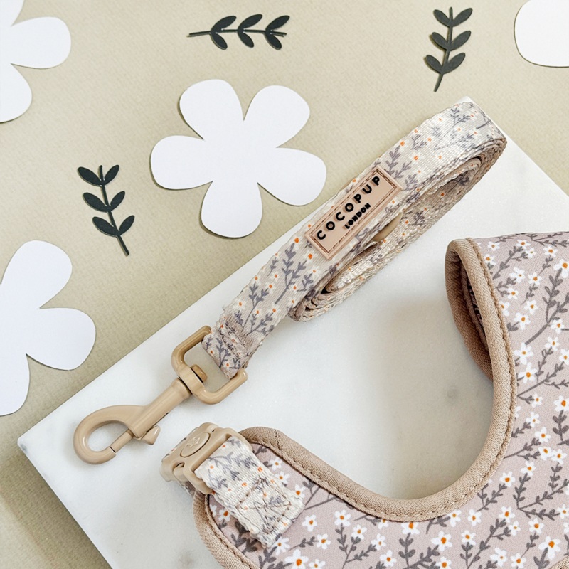 Nude Flowers Lead