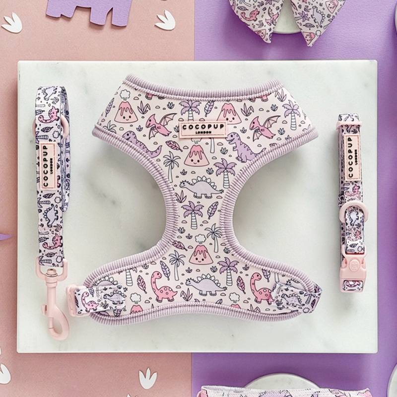 Princess Dino Adjustable Neck Harness, Lead & Collar Bundle
