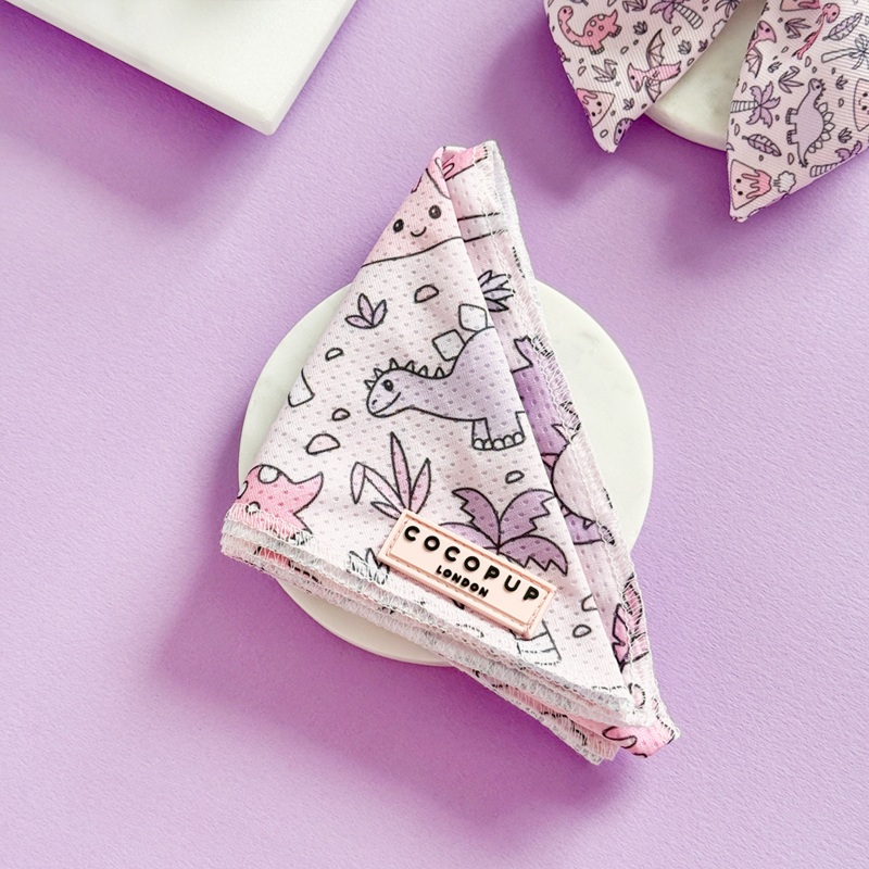 Princess Dino - Bandana