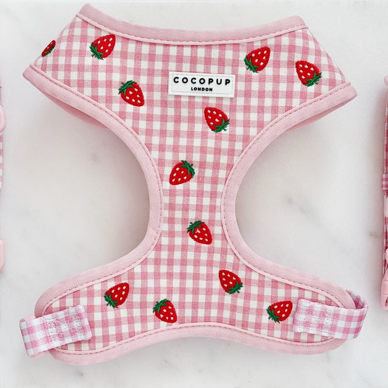 Strawberry Picnic Pup Adjustable Neck HARNESS