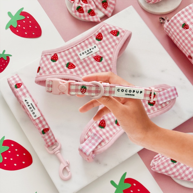 Strawberry Picnic Pup COLLAR
