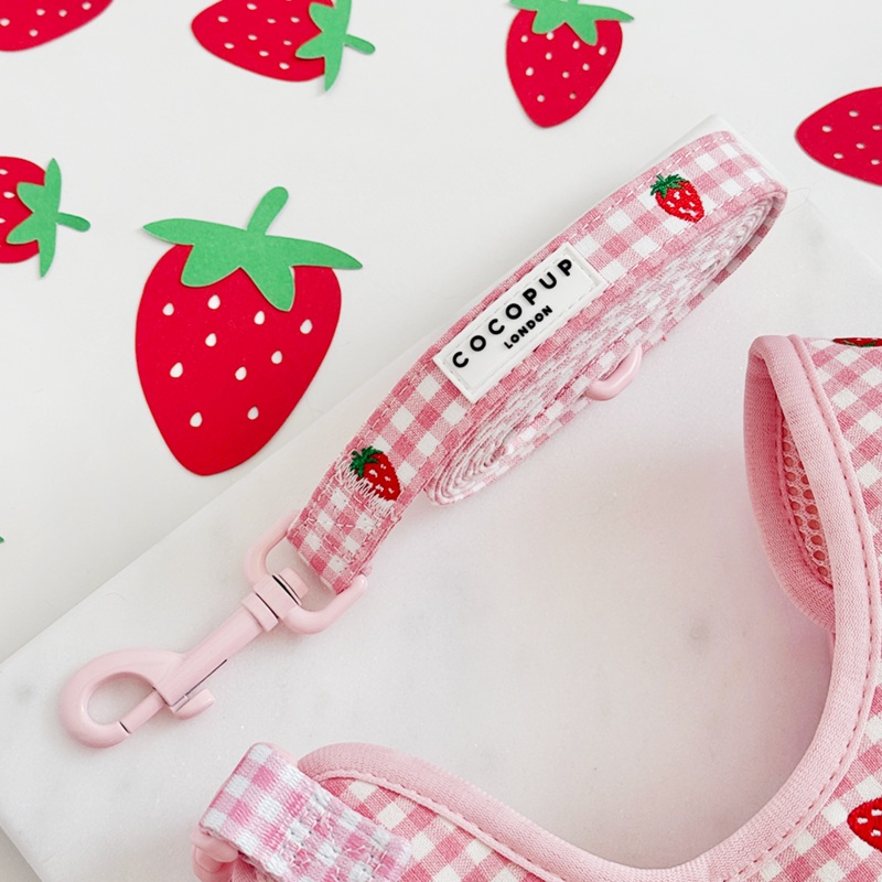 Strawberry Picnic Pup Lead
