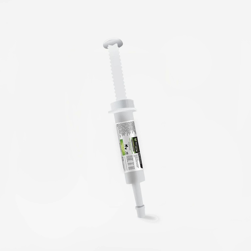 VetriScience Fast Balance GI Pro Probiotic Paste for Dogs & Cats