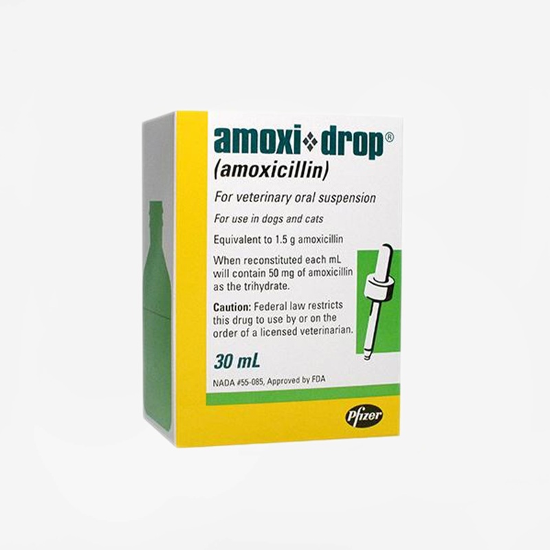 Amoxi-Drop 50 mg/ml Oral Suspension (Rx)