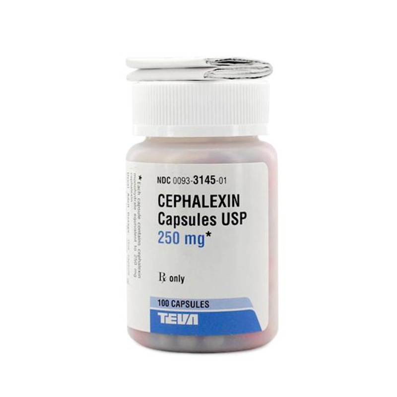 Cephalexin (Rx)