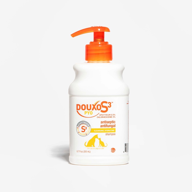 Douxo S3 PYO Shampoo