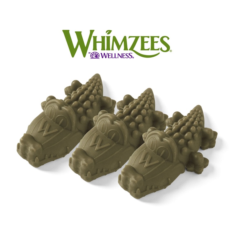 PARAGON PET PRODUCTS USA INC. WHIMZEE TOOTHBRUSH SM