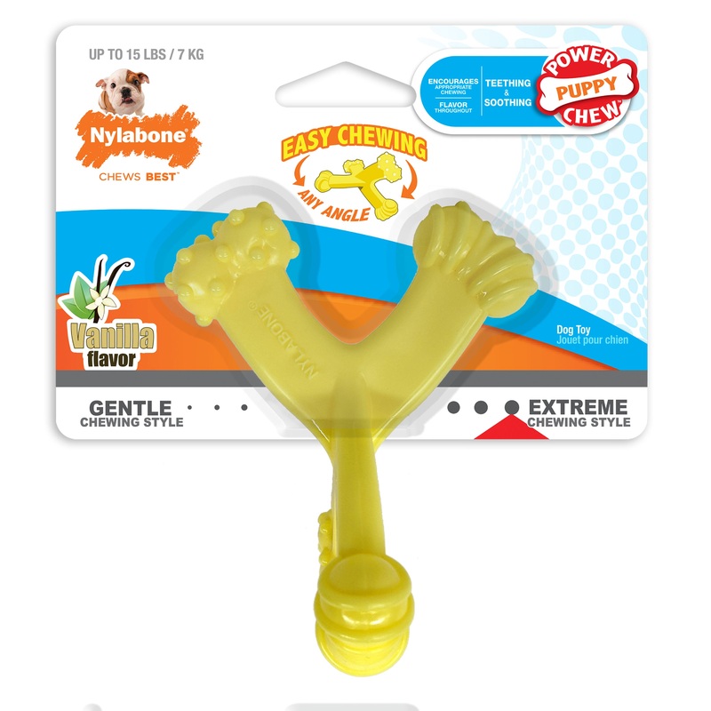 Nylabone Axis Bone Nylon Puppy Chew Toy Small/Regular