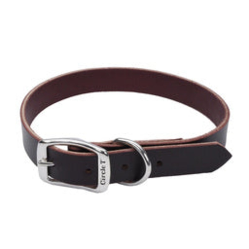 Coastal Circle T 3/8in Wide 12in  Leather Town Dog Collar, Latigo