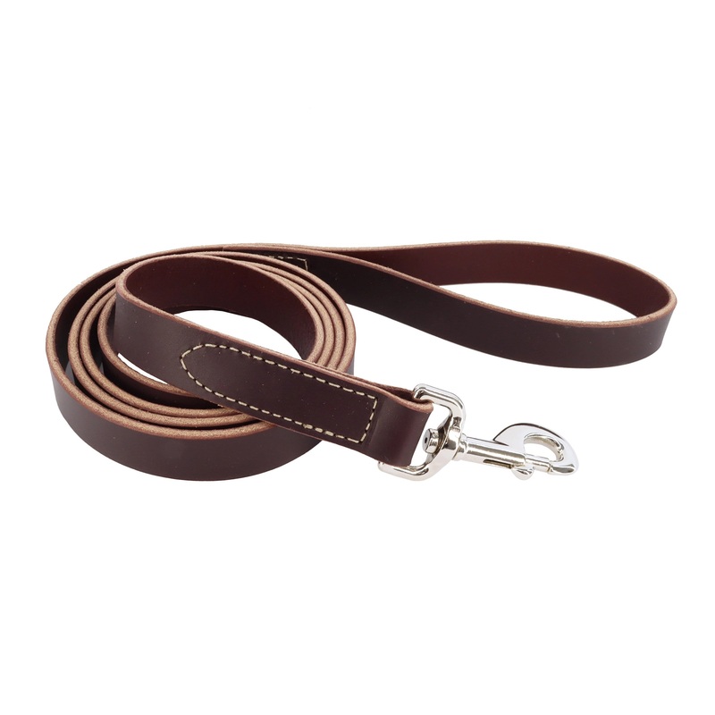 Coastal Circle T 4ft Long 1in Leather Dog Leash, Latigo