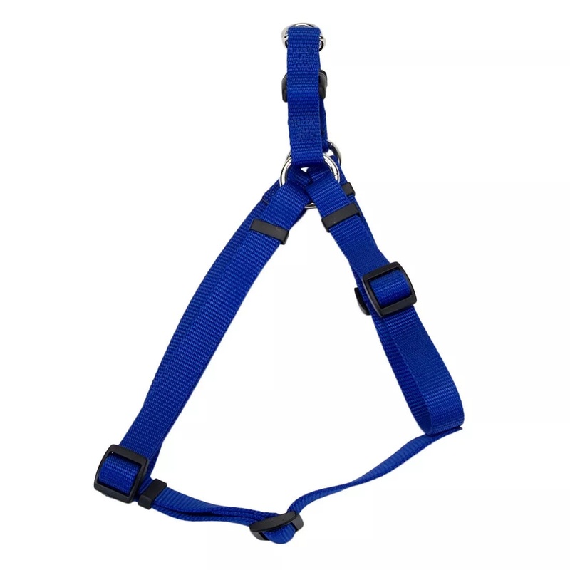 Coastal Comfort Wrap Adjustable 3/4in Wide 20-30in Step In Dog Harness Blue