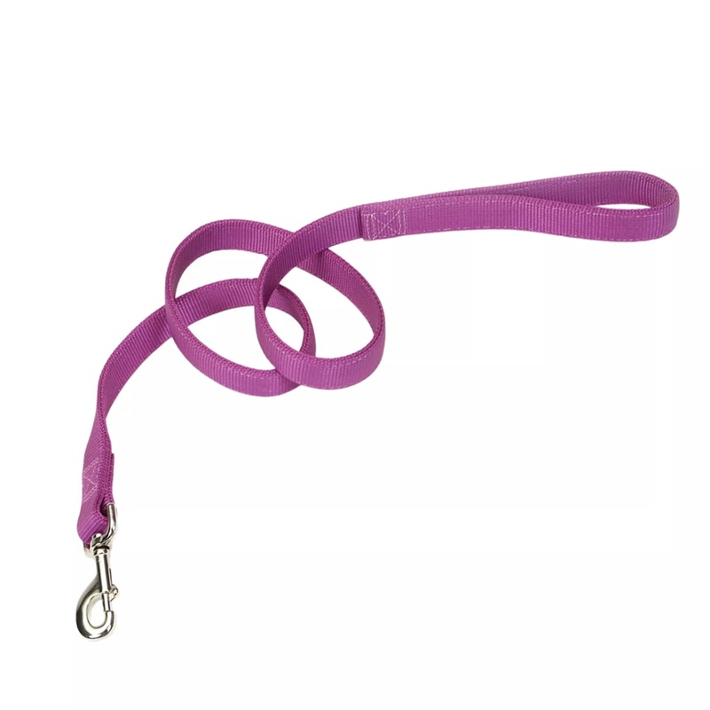 Coastal Double Ply 4ft Long 1in Dog Leash  Orchid
