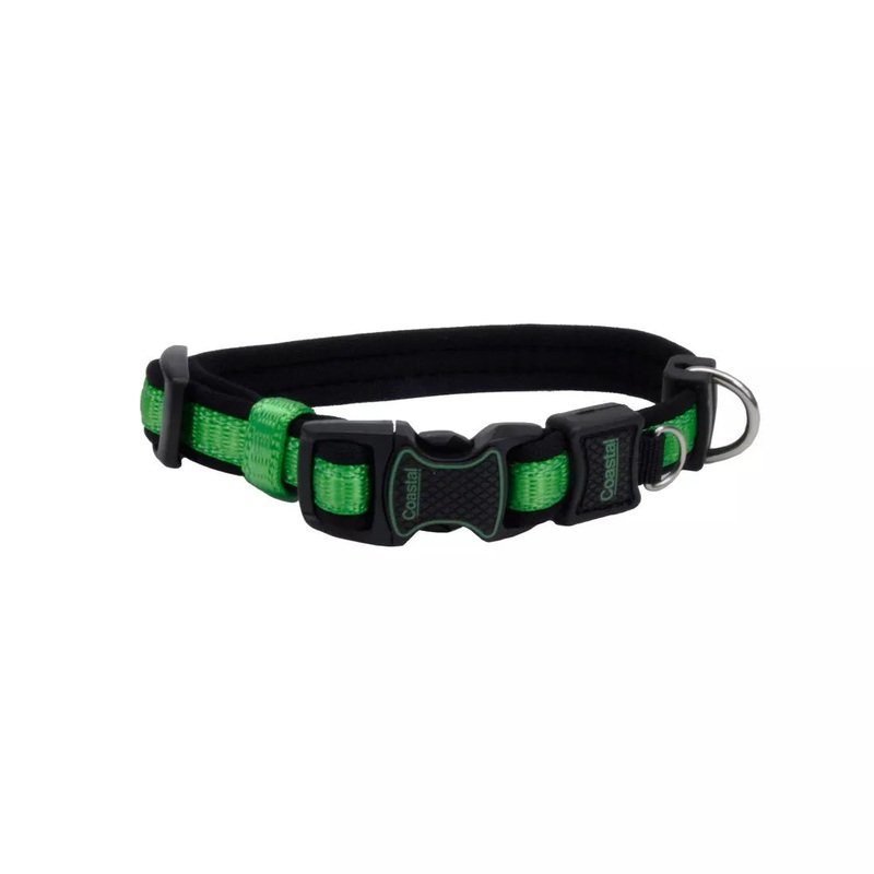 Coastal Inspire 1in Wide 14-20in Dog Collar Green
