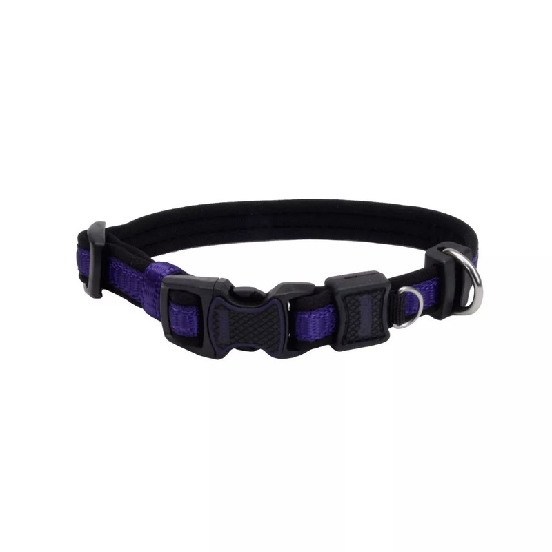 Coastal Inspire 1in Wide 14-20in Dog Collar Purple
