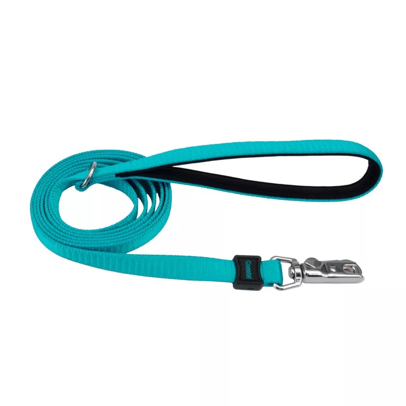 Coastal Inspire 6ft Long 1in Dog Leash Aqua