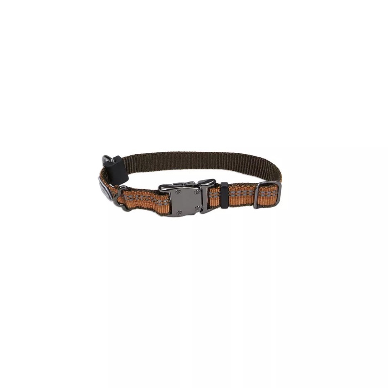 Coastal K9 Explorer 5/8in Wide 10-14in Reflective Adjustable Dog Collar Campfire Orange