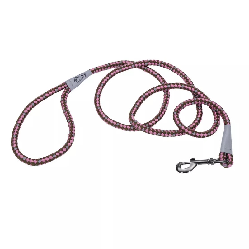 Coastal K9 Explorer 6ft Long 1/2in Reflective Braided Rope Snap Dog Leash Rosebud