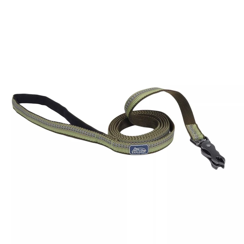 Coastal K9 Explorer 6ft Long 1in Reflective Dog Leash with Scissor Snap Fern