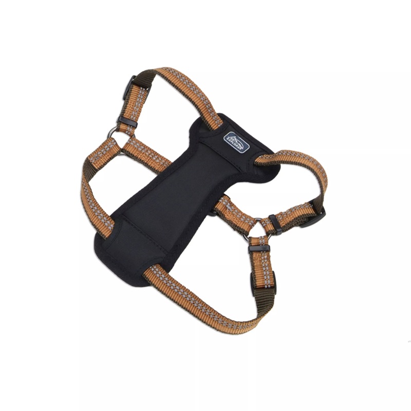 Coastal K9 Explorer Reflective Adjustable 5/8in Wide 12-18in Padded Dog Harness Campfire Orange