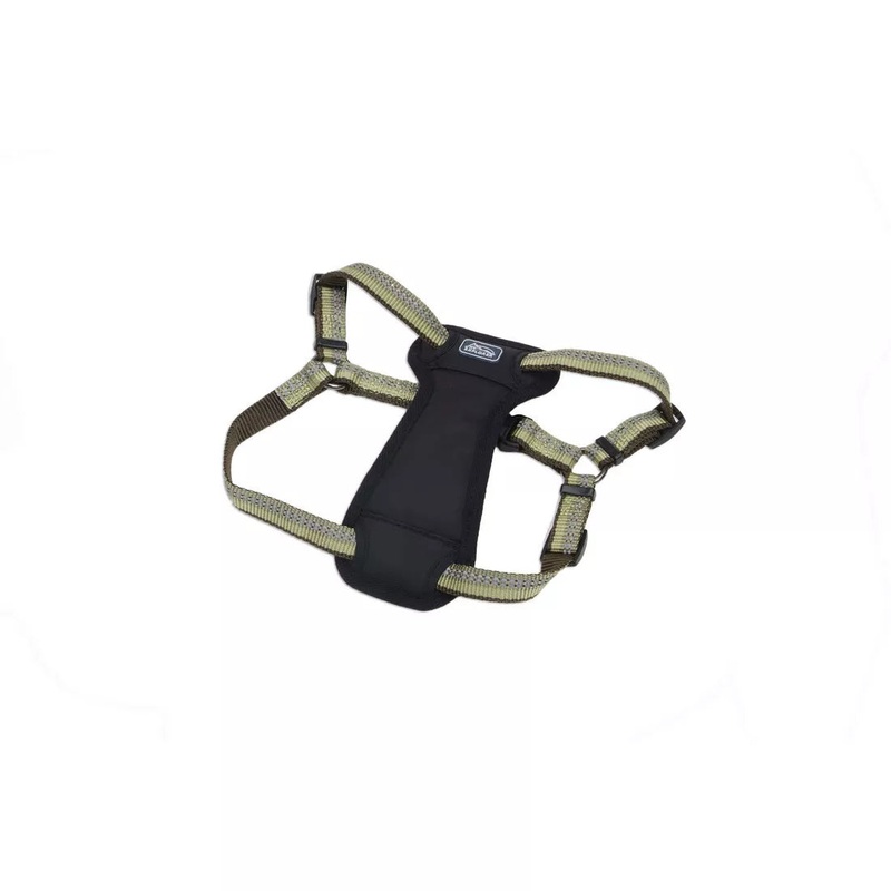 Coastal K9 Explorer Reflective Adjustable 5/8in Wide 12-18in Padded Dog Harness Fern