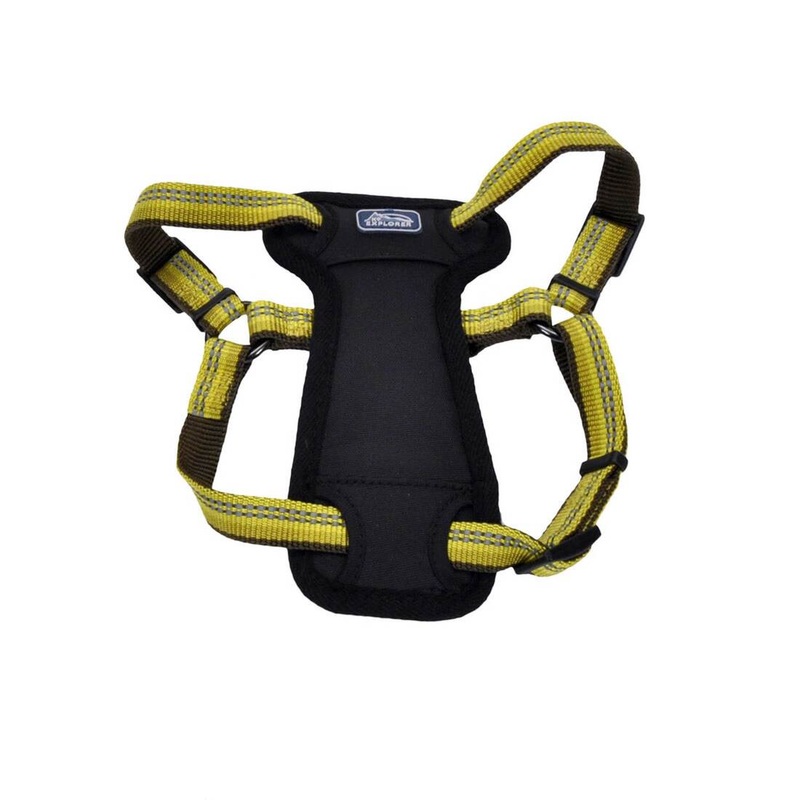 Coastal K9 Explorer Reflective Adjustable 5/8in Wide 12-18in Padded Dog Harness Goldenrod