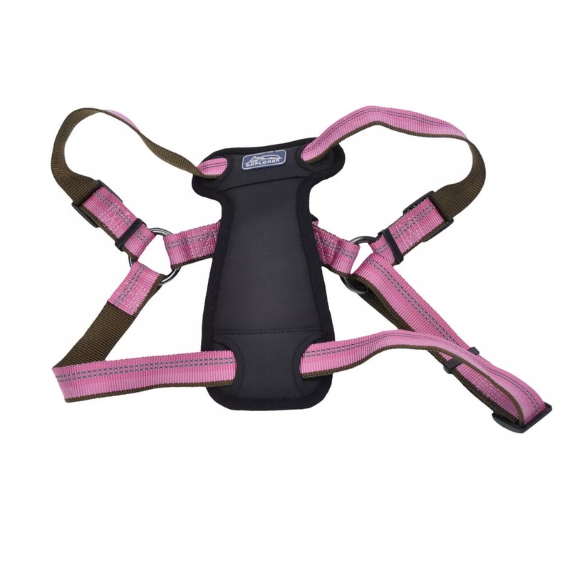 Coastal K9 Explorer Reflective Adjustable 5/8in Wide 12-18in Padded Dog Harness Rosebud