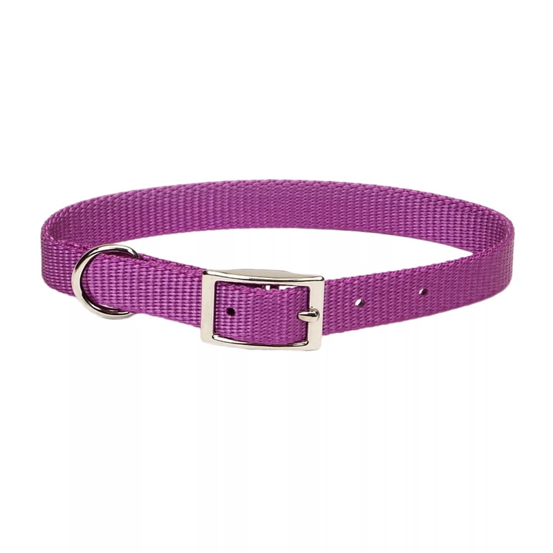 Coastal Single Ply 5/8in Wide 14in Dog Collar Orchid