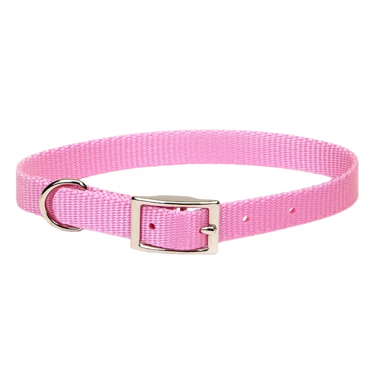 Coastal Single Ply 5/8in Wide 16in Dog Collar Bright Pink