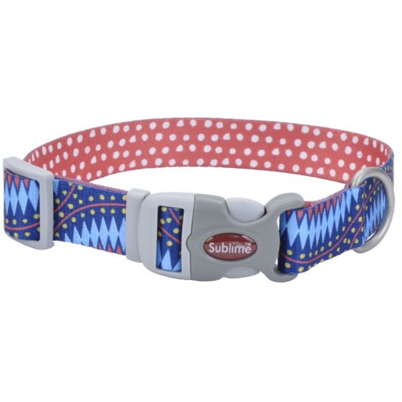 Coastal Sublime 1in Wide 12-18in Adjustable Dog Collar Diamond Dots