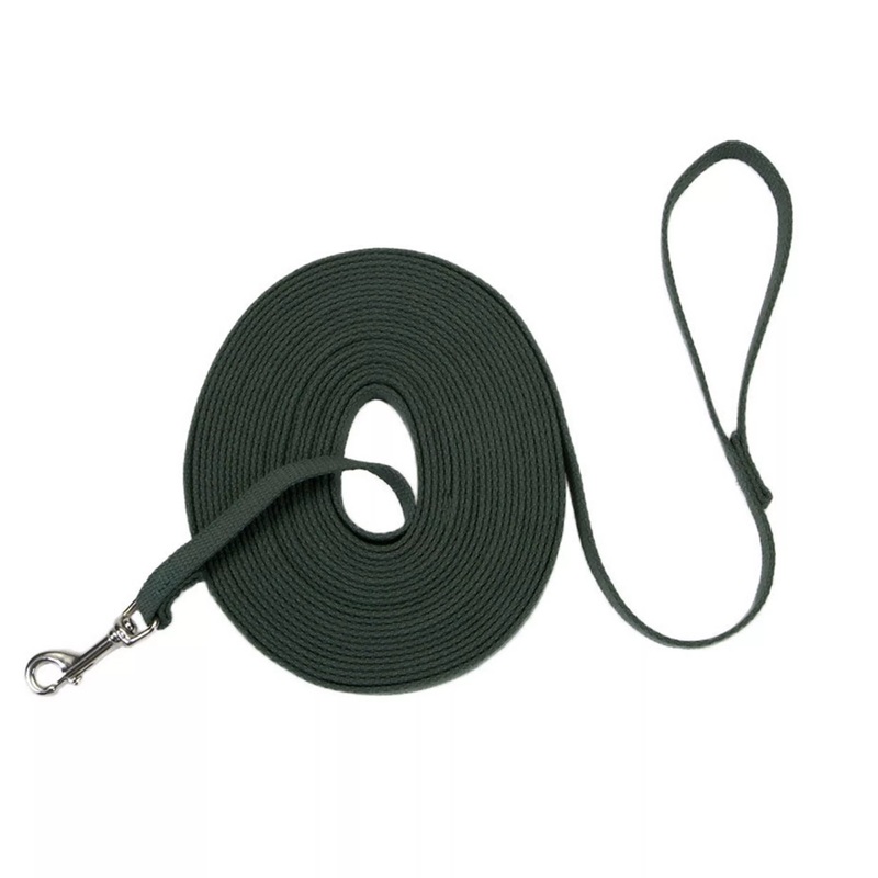Coastal Train Right 15ft Long 5/8in Cotton Web Dog Leash  Green