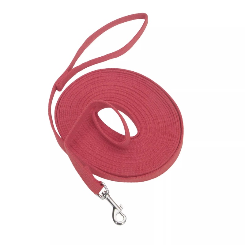 Coastal Train Right 6ft Long 5/8in Cotton Web Dog Leash Red