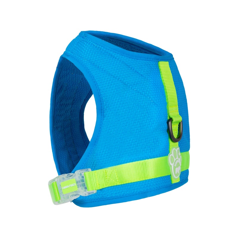 Canada Pooch Chill Seeker Cooling Harness in Blue at Nordstrom, Size 20