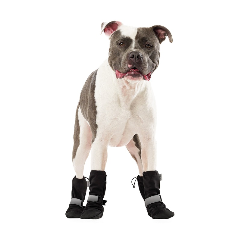 Canada Pooch Set of 4 Soft Shield Paw Boots in Black at Nordstrom, Size 2