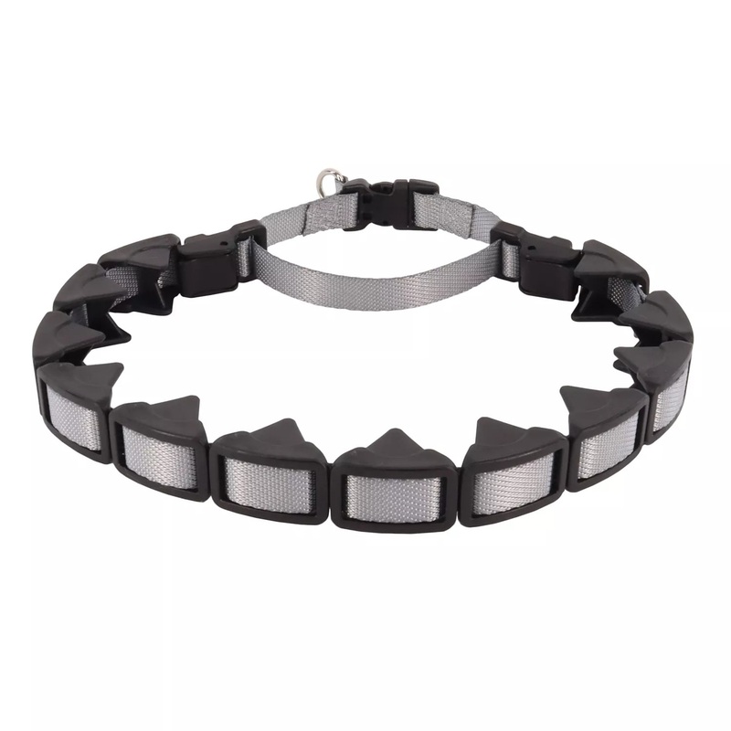 Coastal Natural Control Training Collar 1in Wide 16in Grey