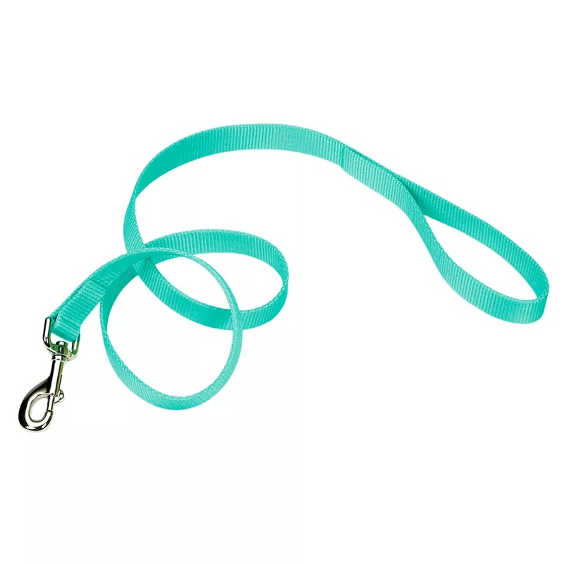 Coastal Single Ply 6ft Long 1in Dog Leash Teal