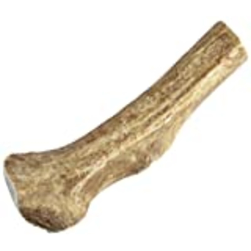 Happy Dog of Cape Cod Sliced Elk Antler Dog Chew Jumbo