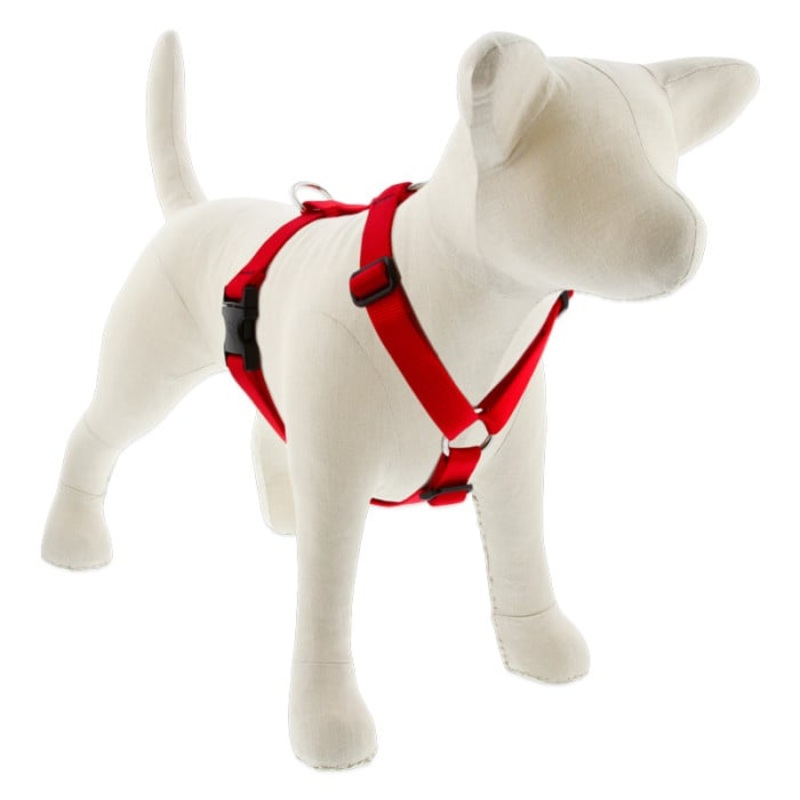 Lupine Pet Dog 1 In 20-32 In Roman Harness Basics Red