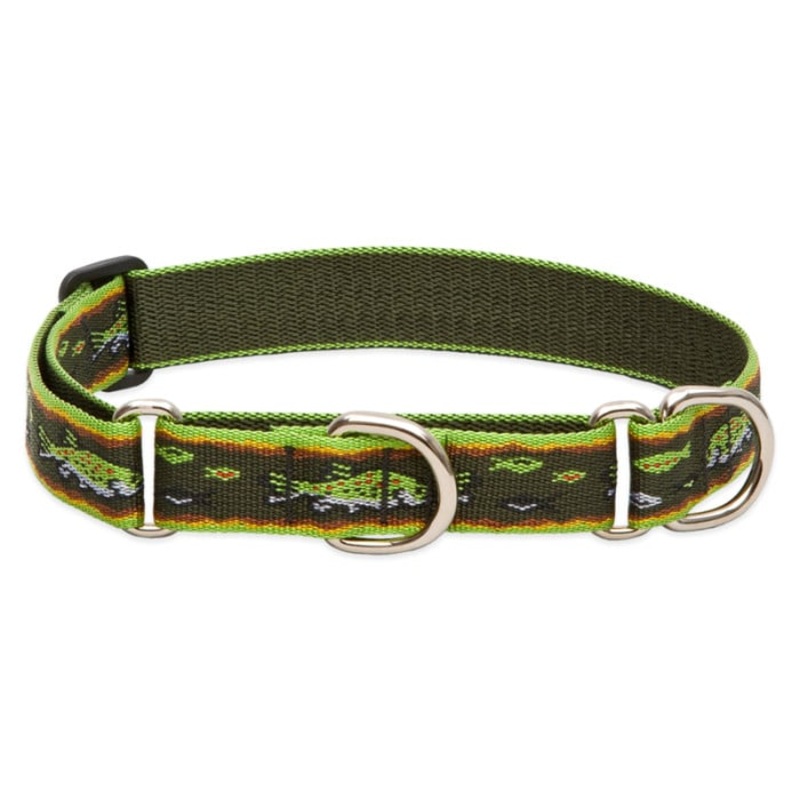 Lupine Pet Dog 1 In Wide 15-22 In Martingale Collar Original Designs Brook Trout